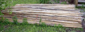 Free Stack of Bamboo Poles