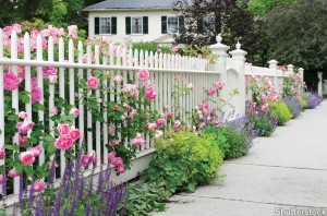 White Garden Fence