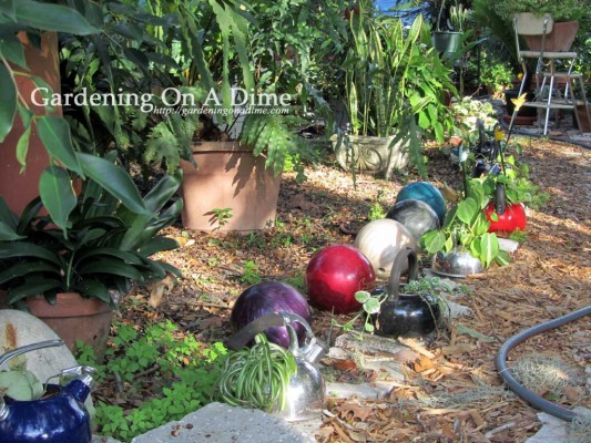 Garden path lined with bowling ball orbs.