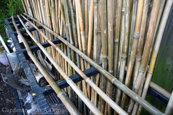 Diy Bamboo Pole Rack, Bamboo Shelves Diy