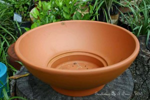 Discounted Clay Planter