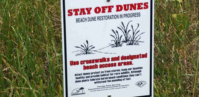 Stay Off Dunes Signs