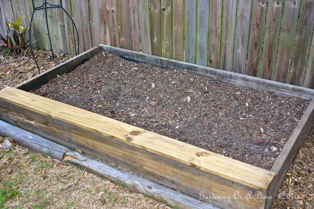 Raised Bed Sunflower Garden