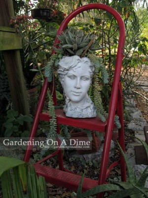 A bit of glamour in the garden?