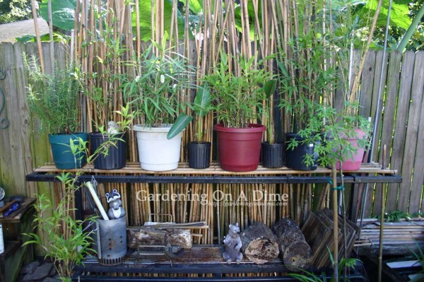 bamboo-pole-storage-rack