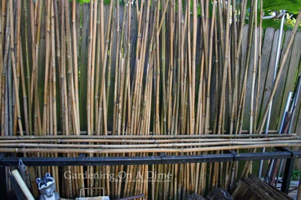 partially-filled-bamboo-pol