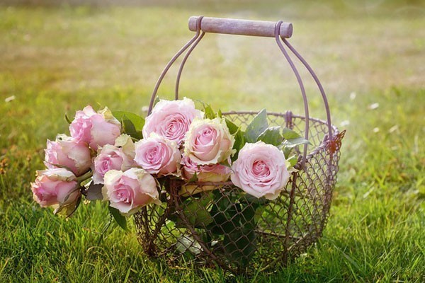 garden-flowers-in-a-wire-basket