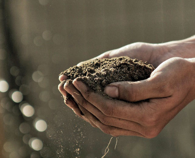 Hands-full-of-soil