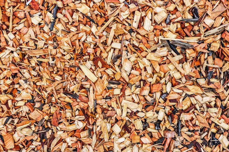 Wood chips on the ground.