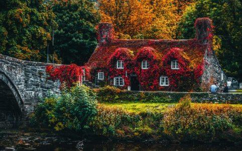 A house with a garden in fall