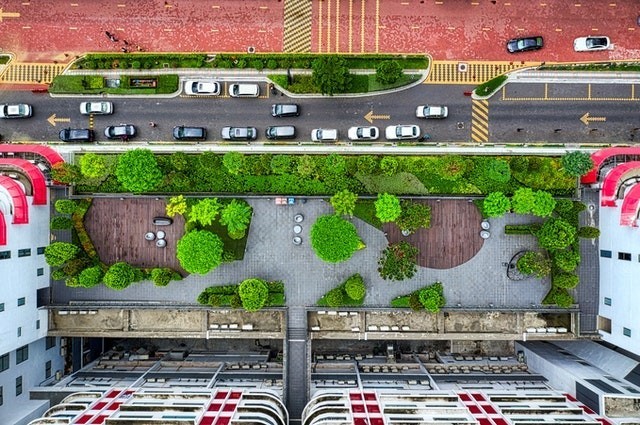 a sizeable green rooftop garden aerial view