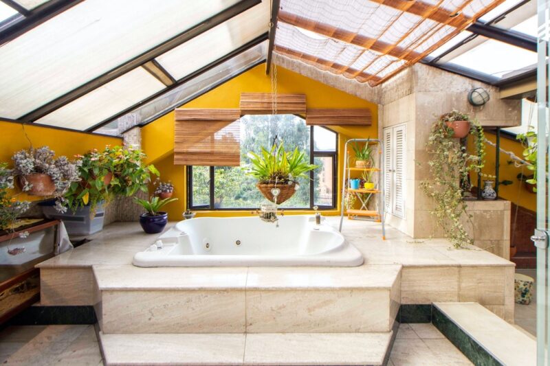 A bathroom full of plants that are thriving.