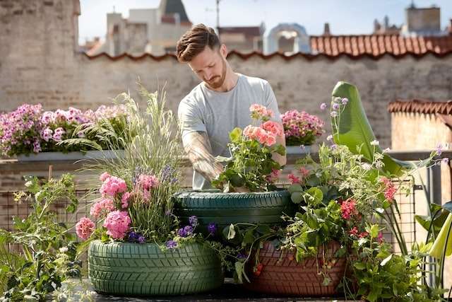Man taking care of flowers planted in old tires