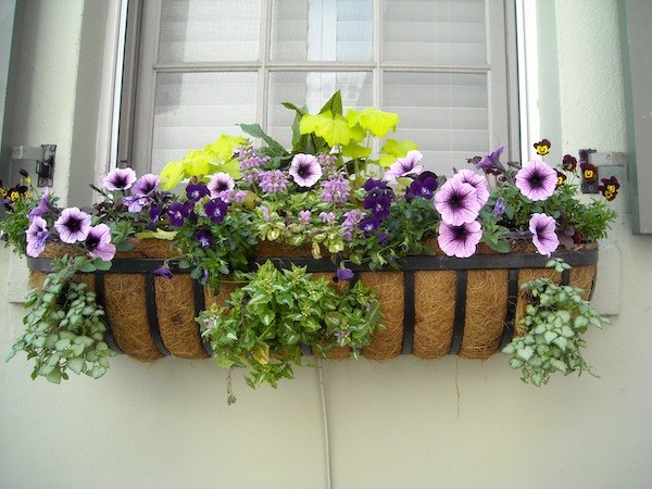 A window flower box