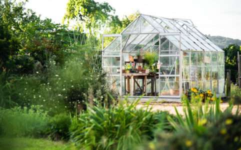 A plant greenhouse