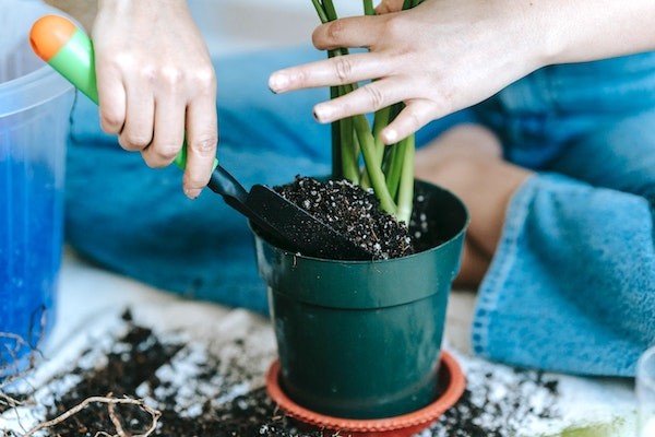 A person putting a new plant in a pot.