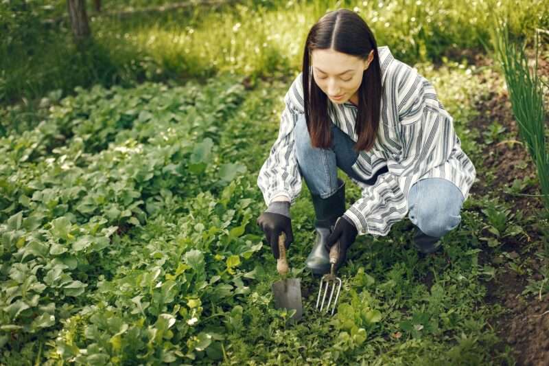 Woman creating a habitat-friendly garden.