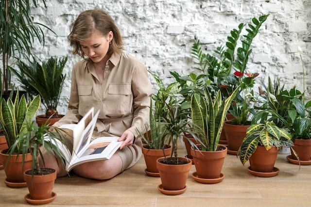 A woman in a brown long-sleeve shirt reading a book while sitting near plants.