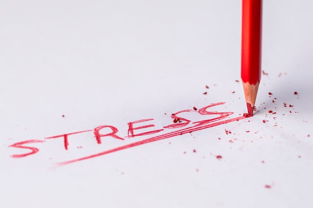 Word STRESS written by a red pen