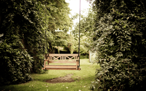 Swing with green bushes