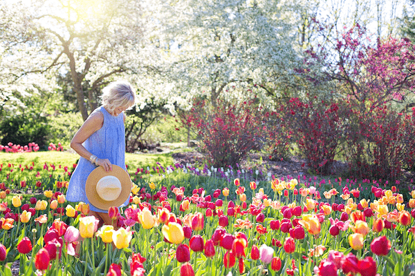 woman with hat in hand walking through a garden of tulips