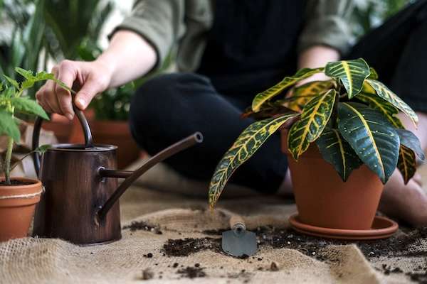 Person holding a brown ceramic mug with green plant.