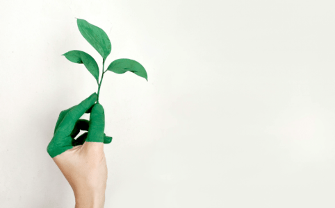 Hand-painted green holding a plant