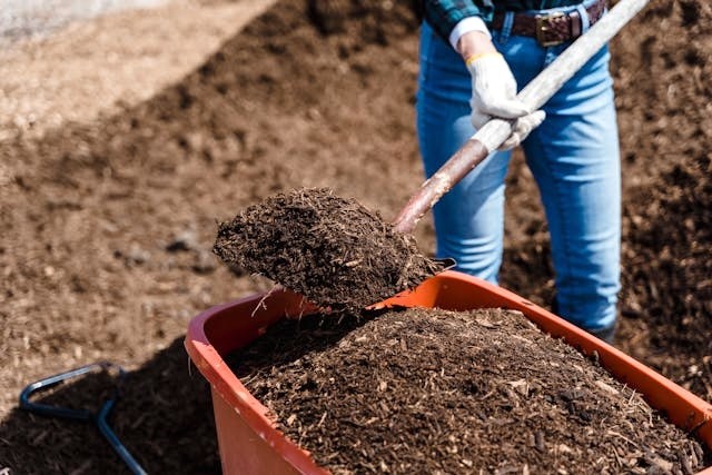 Woman adding compost with a shovel from an orange plastic bucket.