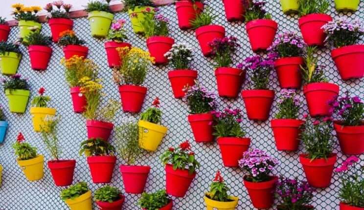 Wall-mounted pots with various plants, creating a unique vertical garden display.