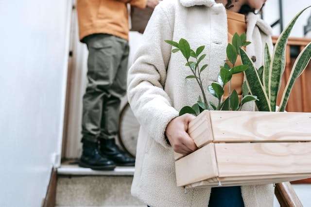 A person carrying potted plants in a wooden box while moving.