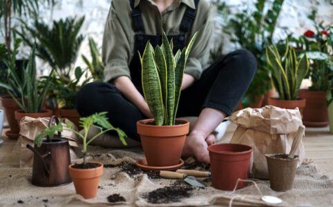 a person sitting near plants.