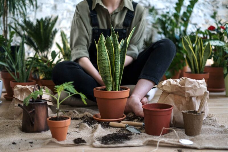 a person sitting near plants.