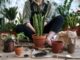 a person sitting near plants.