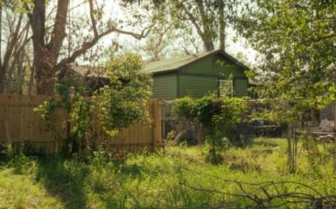 Overgrown backyard with a greenhouse and neglected trees and plants in an older home.