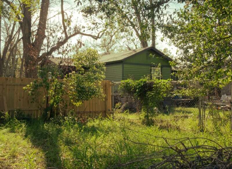 Overgrown backyard with a greenhouse and neglected trees and plants in an older home.